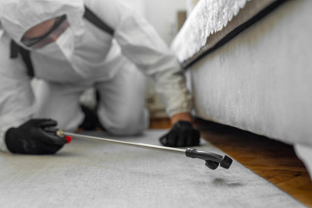 Professional Cockroach Control technician working in La Puebla, NM