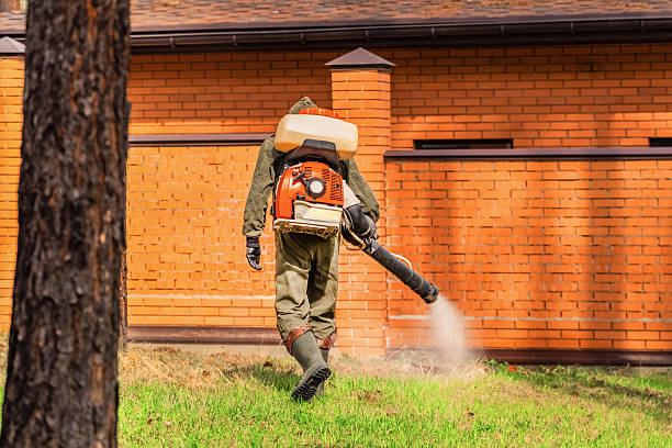 Trusted Mosquito Control service in La Puebla, NM - Nex Pest Control
